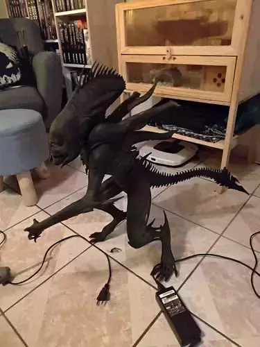 Xenomorph alien new design