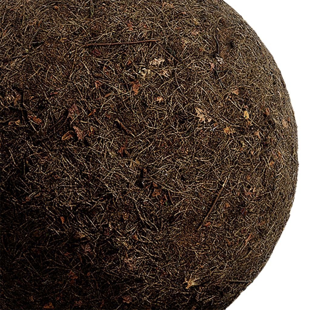 Ground Seamless Texture 2K - EXR 5 - JPG 5 Texture Texture_2