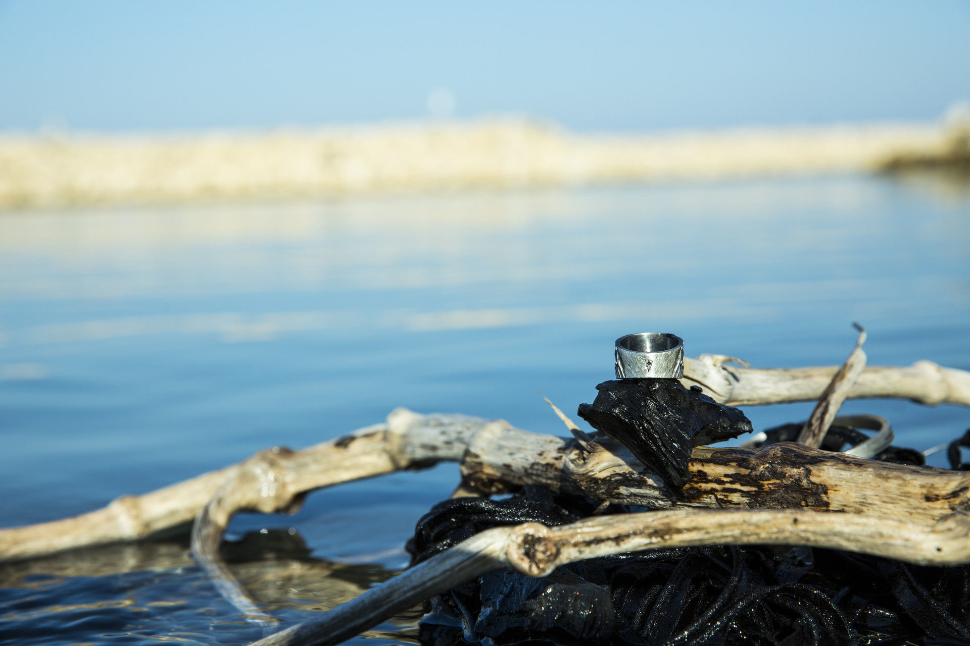 RAVEN RING  3D print model_4