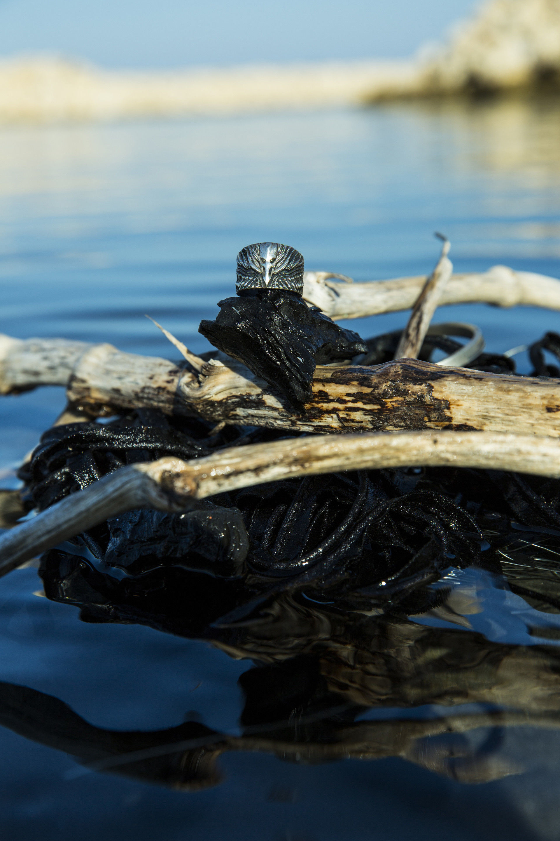 RAVEN RING  3D print model_1