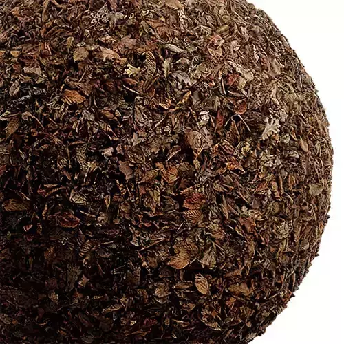 Ground Seamless Texture 2K - EXR 5 - JPG 5 Texture