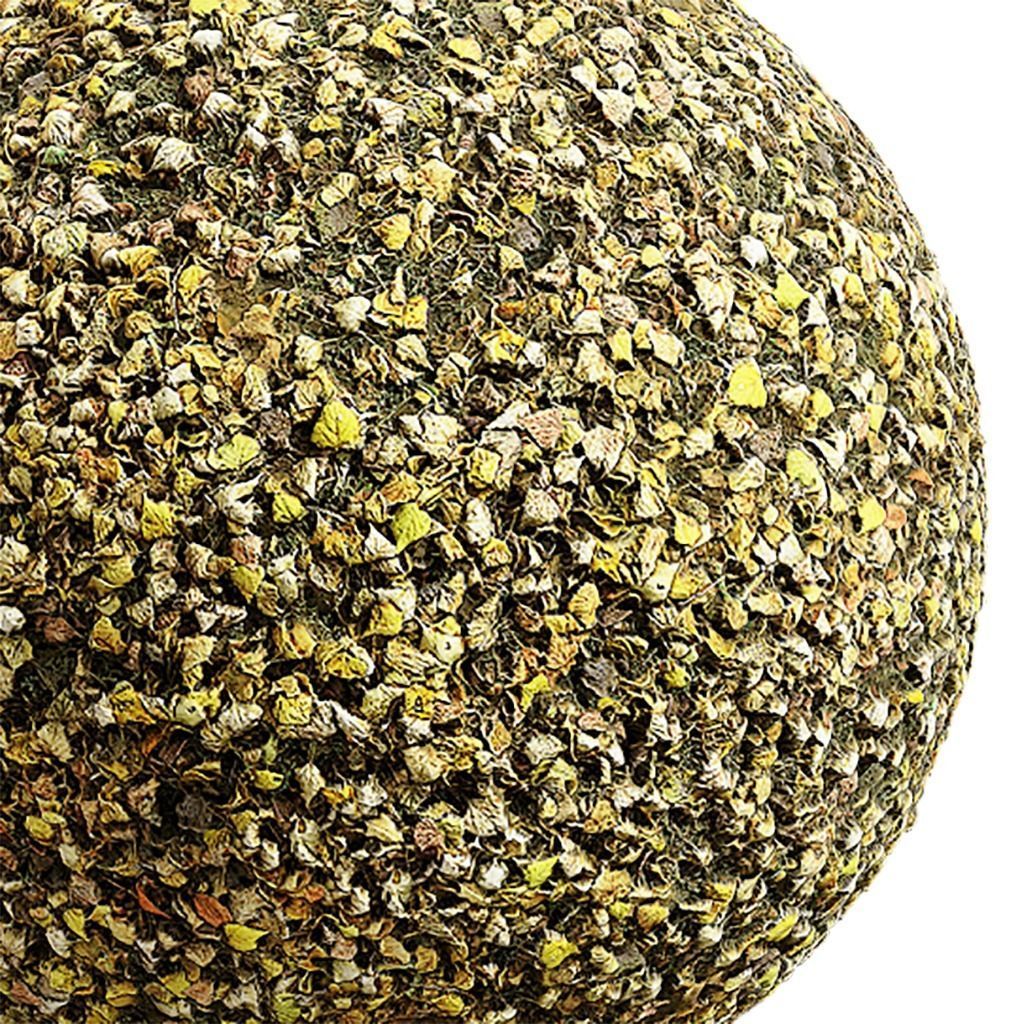 Ground Seamless Texture 2K - EXR 5 - JPG 5 Texture Texture_4