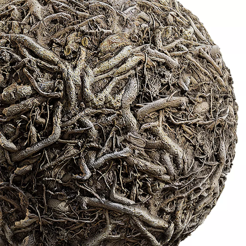 Ground Seamless Texture 2K - EXR 5 - JPG 5 Texture Texture_0