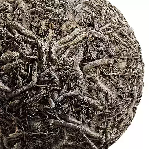 Ground Seamless Texture 2K - EXR 5 - JPG 5 Texture