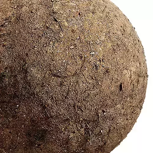 Ground Seamless Texture 2K - EXR 5 - JPG 5 Texture