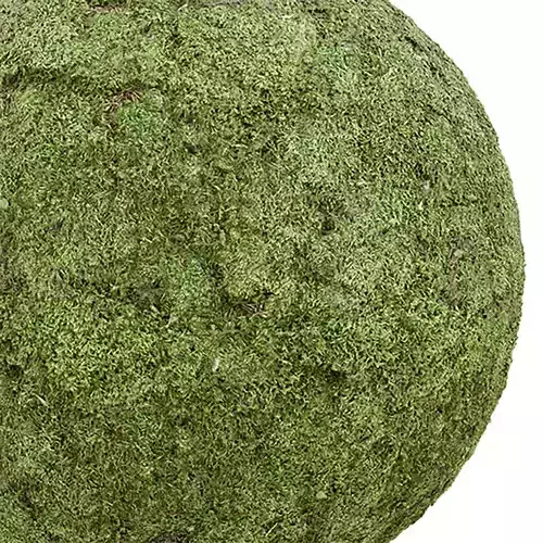 Ground Seamless Texture 2K - EXR 5 - JPG 5 Texture