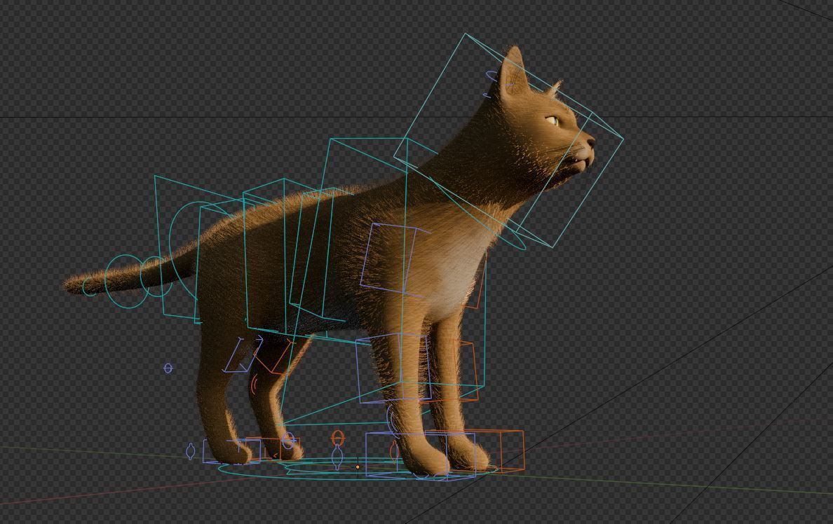 Rigged Cat Low-poly 3D model_1