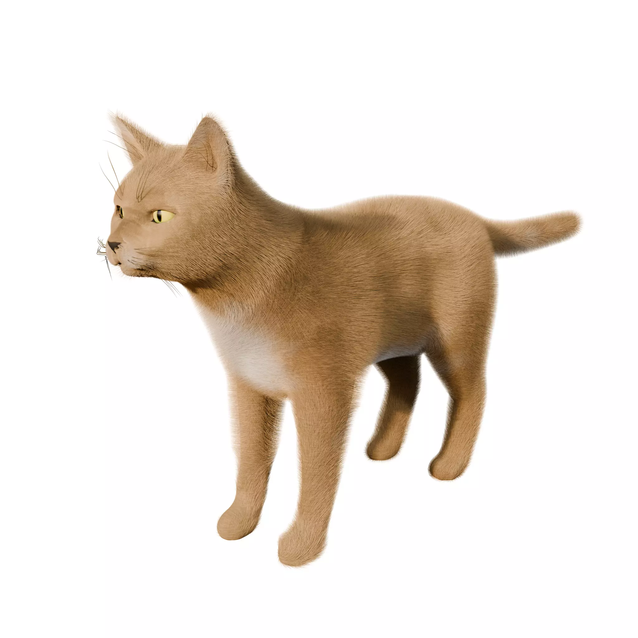 Rigged Cat Low-poly 3D model_0