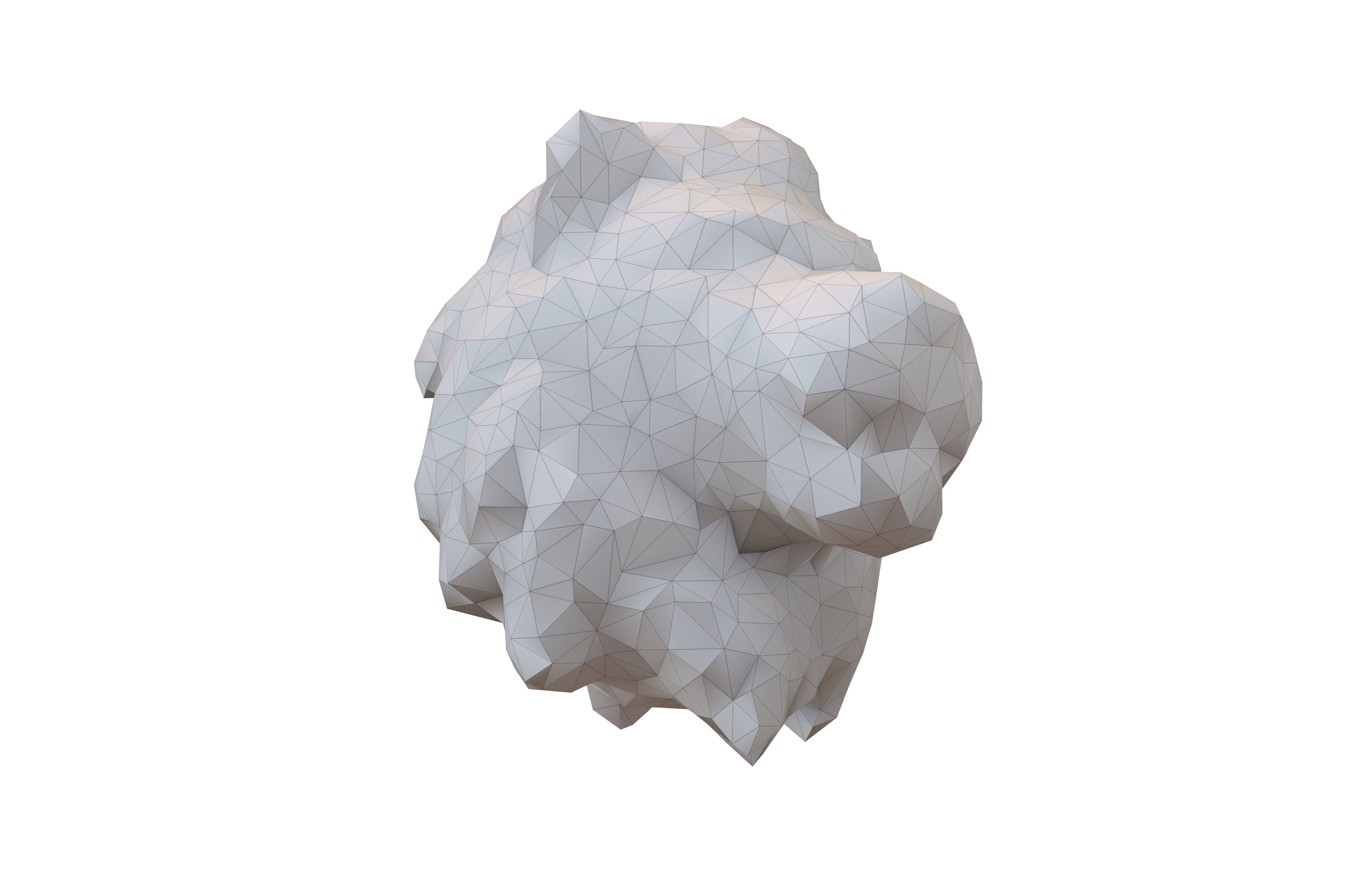 Styled Lion Head v1 001 Low-poly 3D model_3