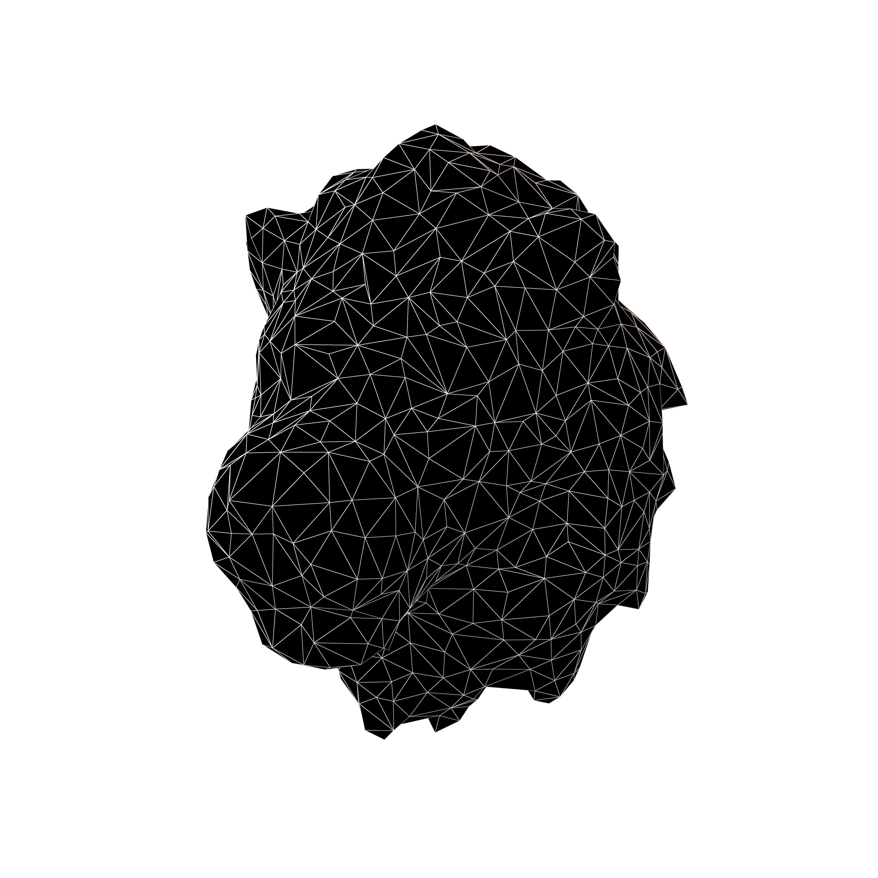 Styled Lion Head v1 001 Low-poly 3D model_4