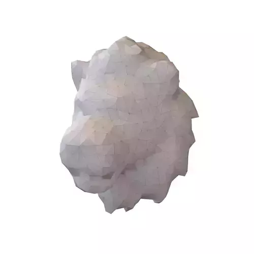 Styled Lion Head v1 001