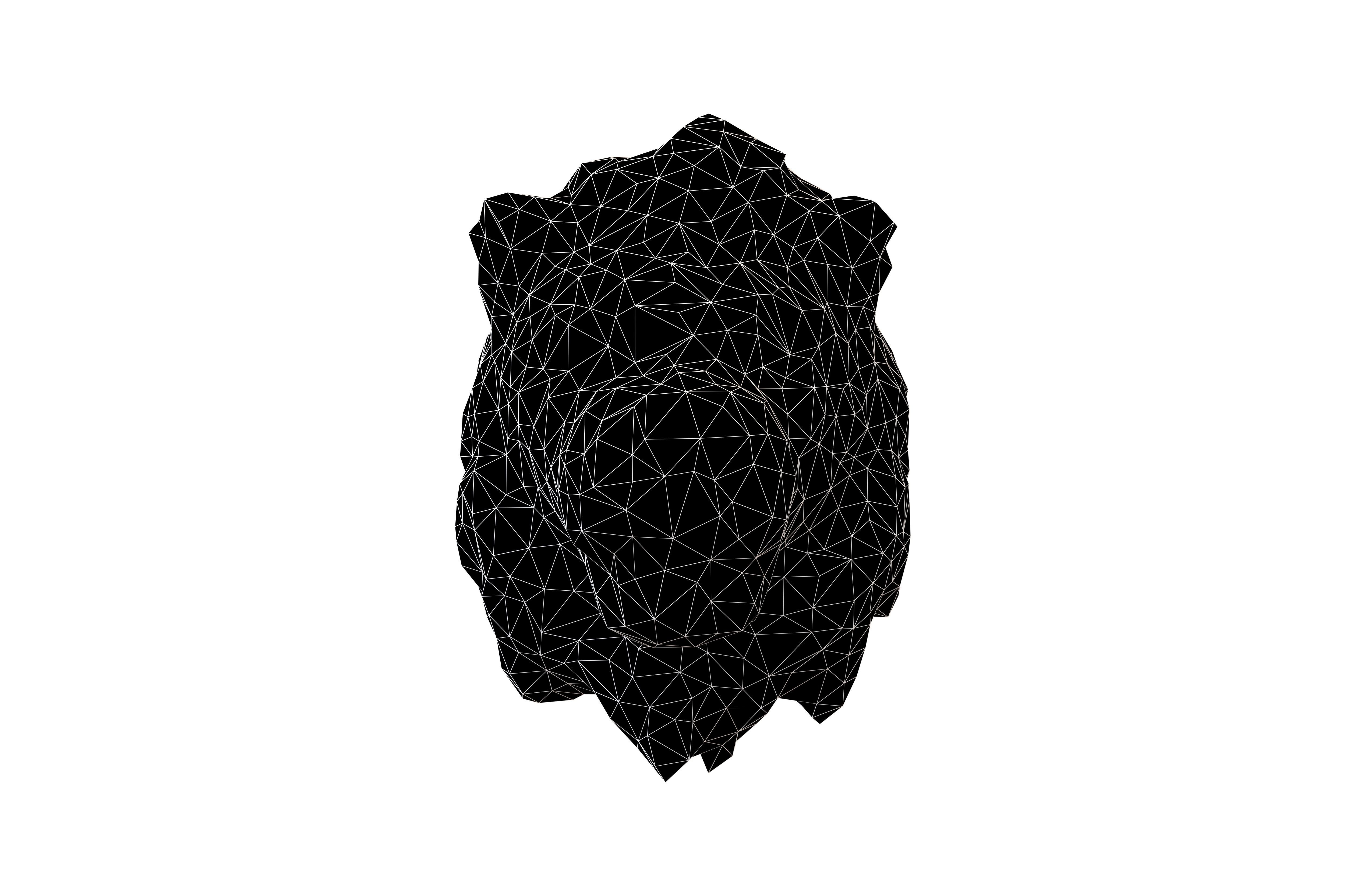 Styled Lion Head v1 001 Low-poly 3D model_5