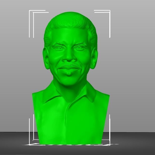Lionel Richie 3D print model_18