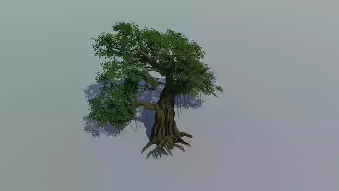 Tree Broadleaf low-poly  Low-poly 3D model