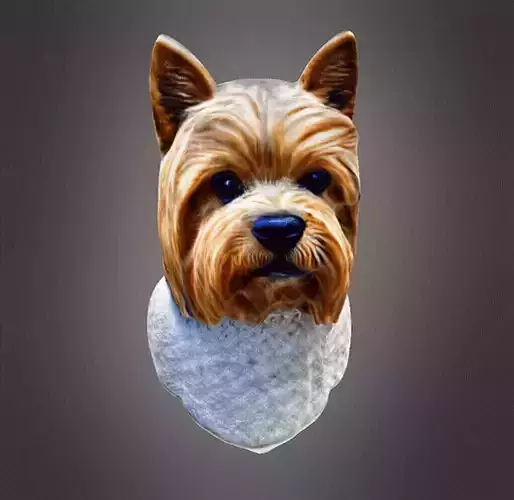 Yorkshire terrier bust