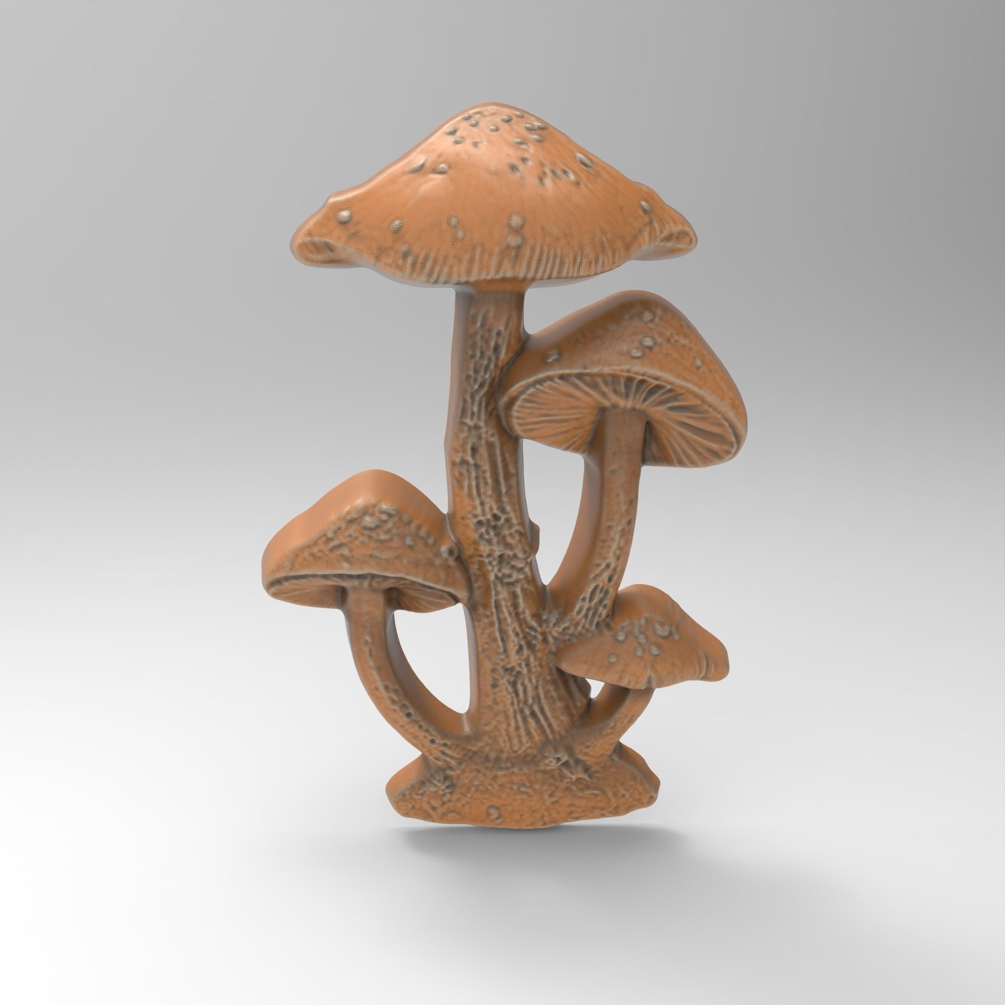 Pair Fairy Mushrooms 3D print model_3