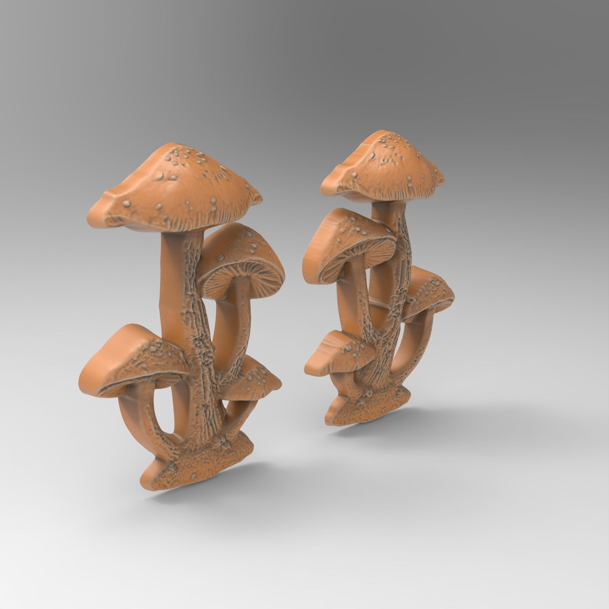 Pair Fairy Mushrooms 3D print model_1