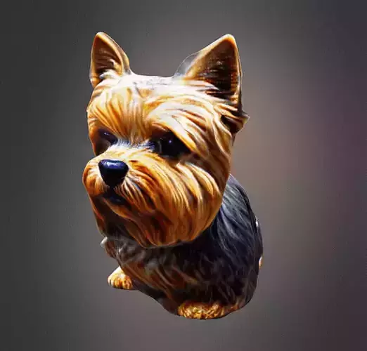 Yorkshire terrier 3D print model