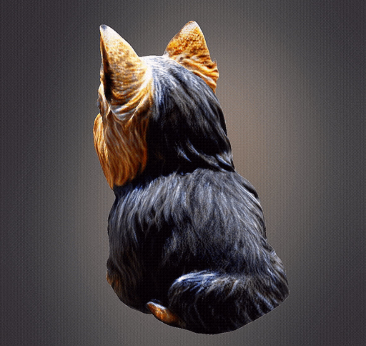 Yorkshire terrier 3D print model_4