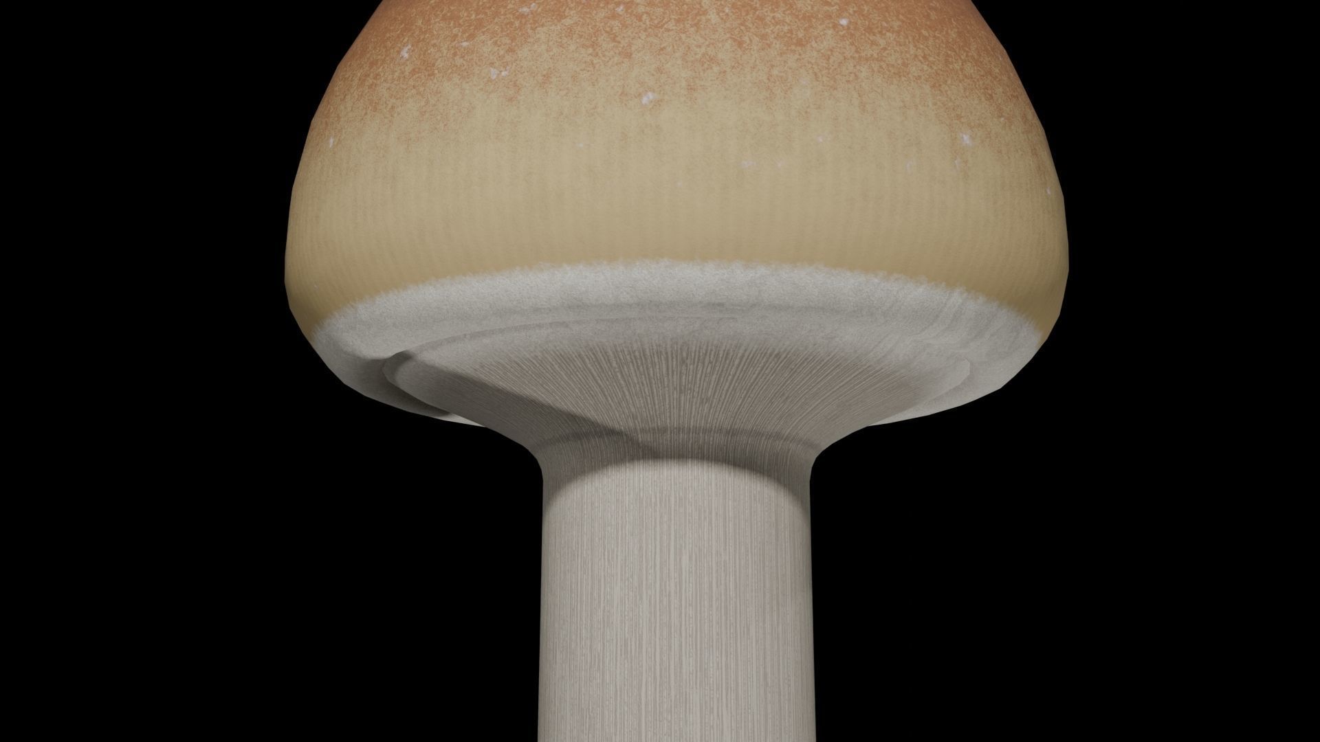 Psilocybe Cubensis Low-poly 3D model_5