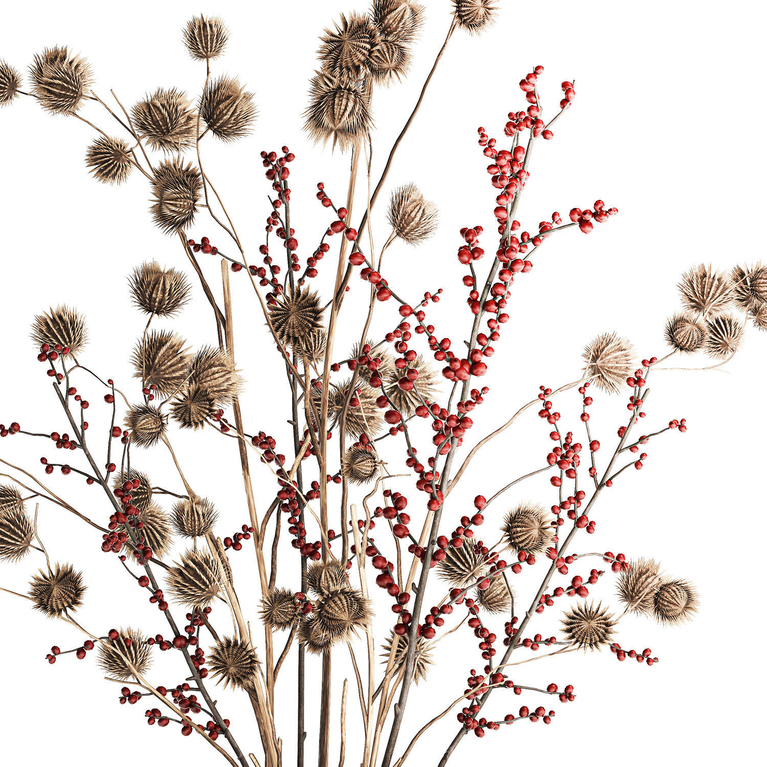 Bouquet of dried flowers with Thistle Ilex branches in a vase  3D model_10