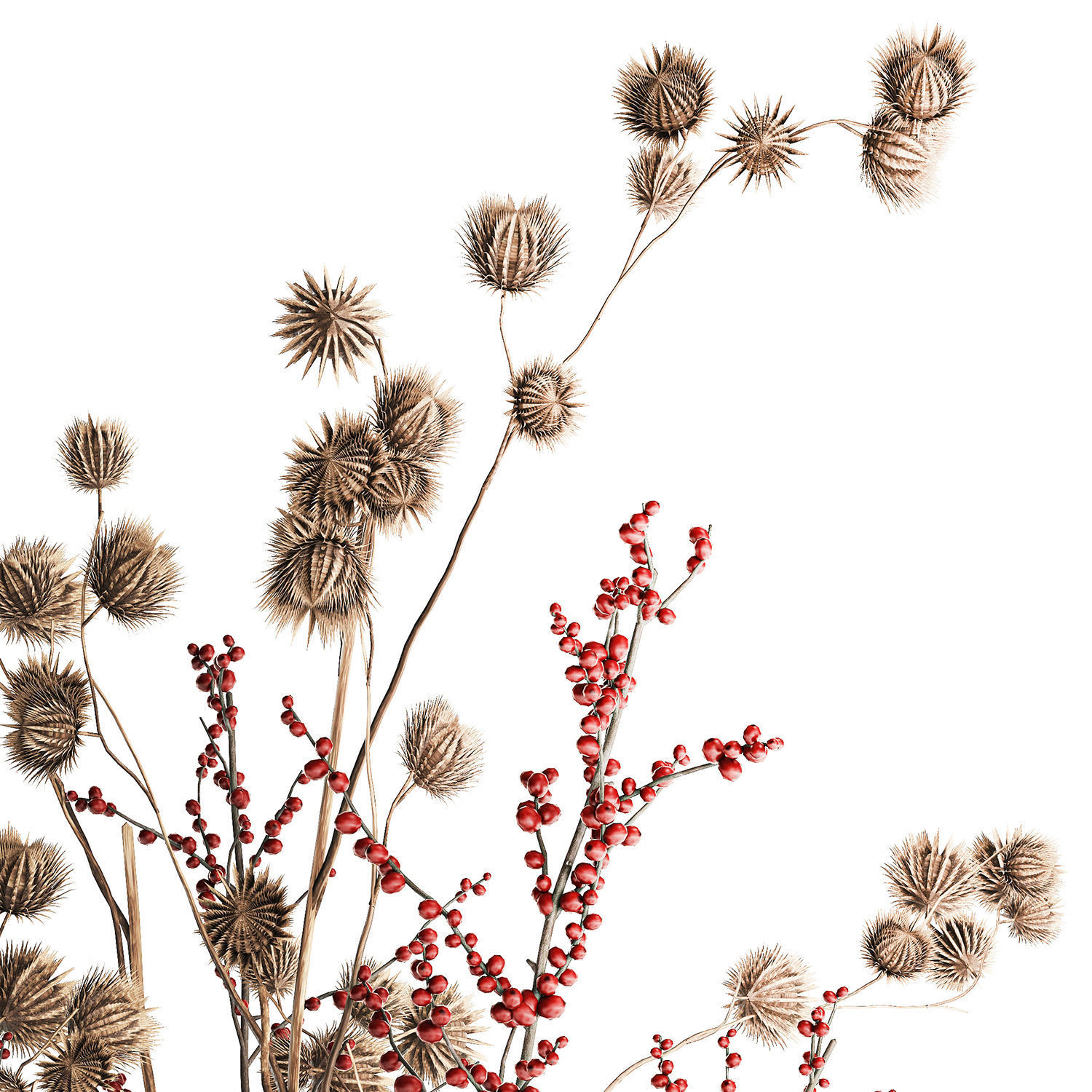 Bouquet of dried flowers with Thistle Ilex branches in a vase  3D model_8