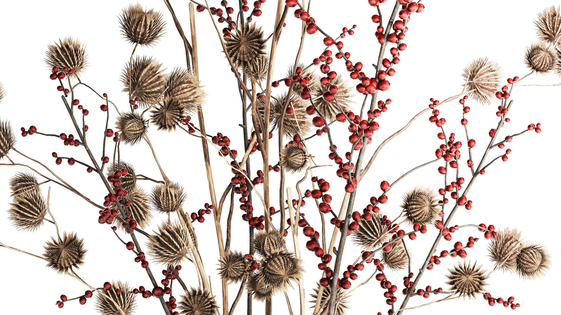 Bouquet of dried flowers with Thistle Ilex branches in a vase  3D model_5