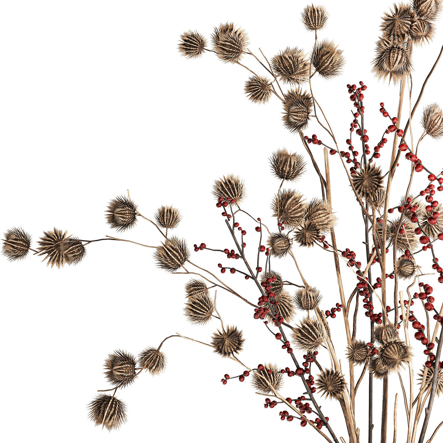Bouquet of dried flowers with Thistle Ilex branches in a vase  3D model_11