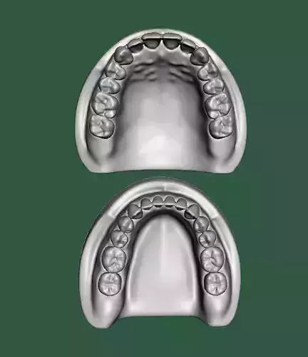 D0015 Dental model upper and lower solid model for test print Free 3D print model