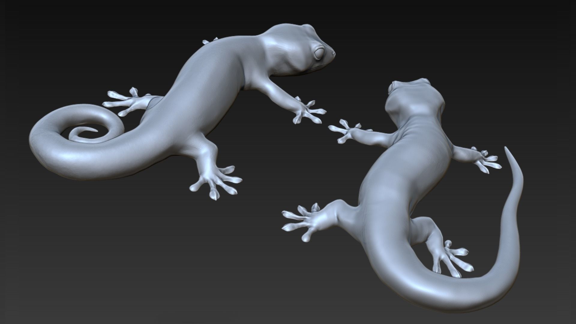 Gecko 3D print model_3