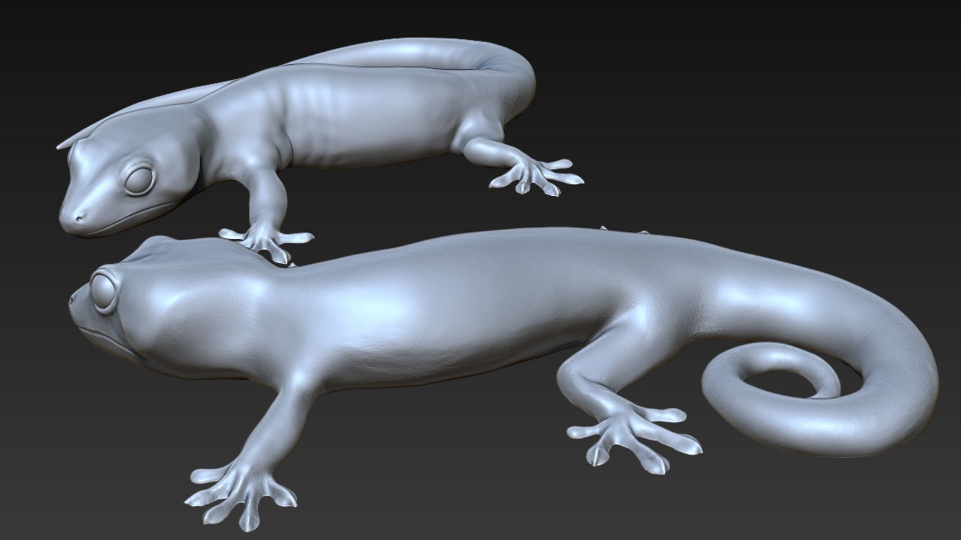 Gecko 3D print model_5