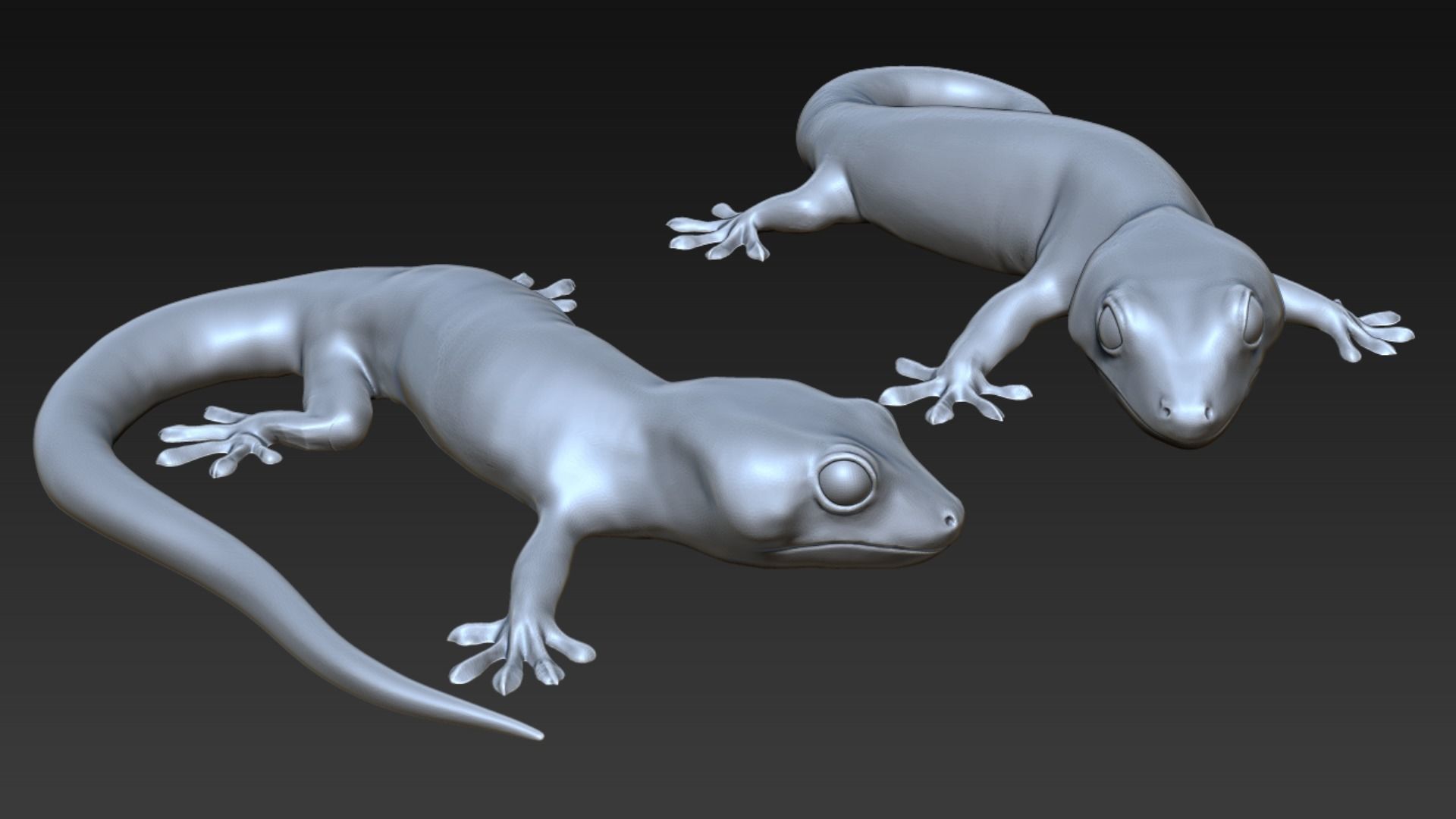 Gecko 3D print model_1