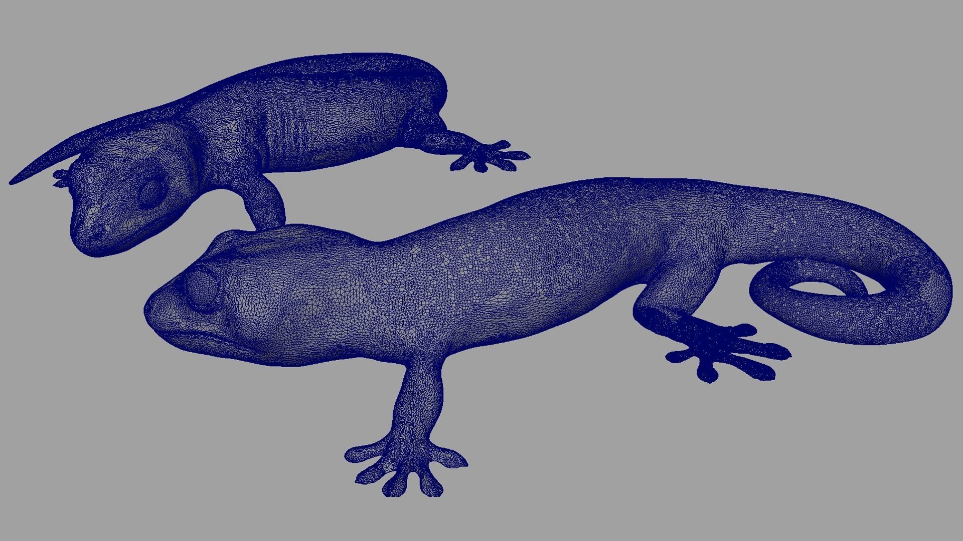 Gecko 3D print model_7