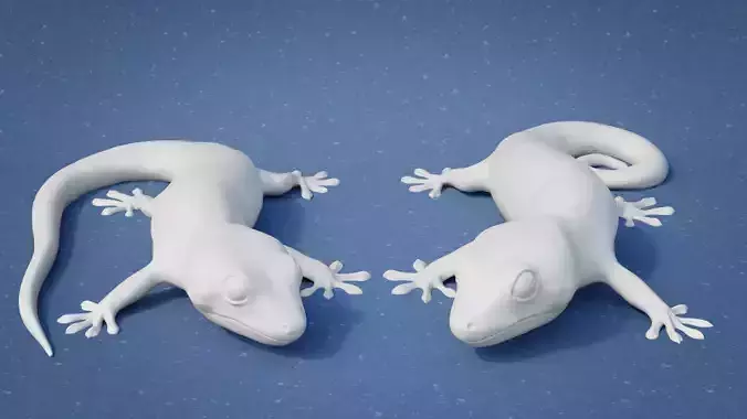 Gecko 3D print model