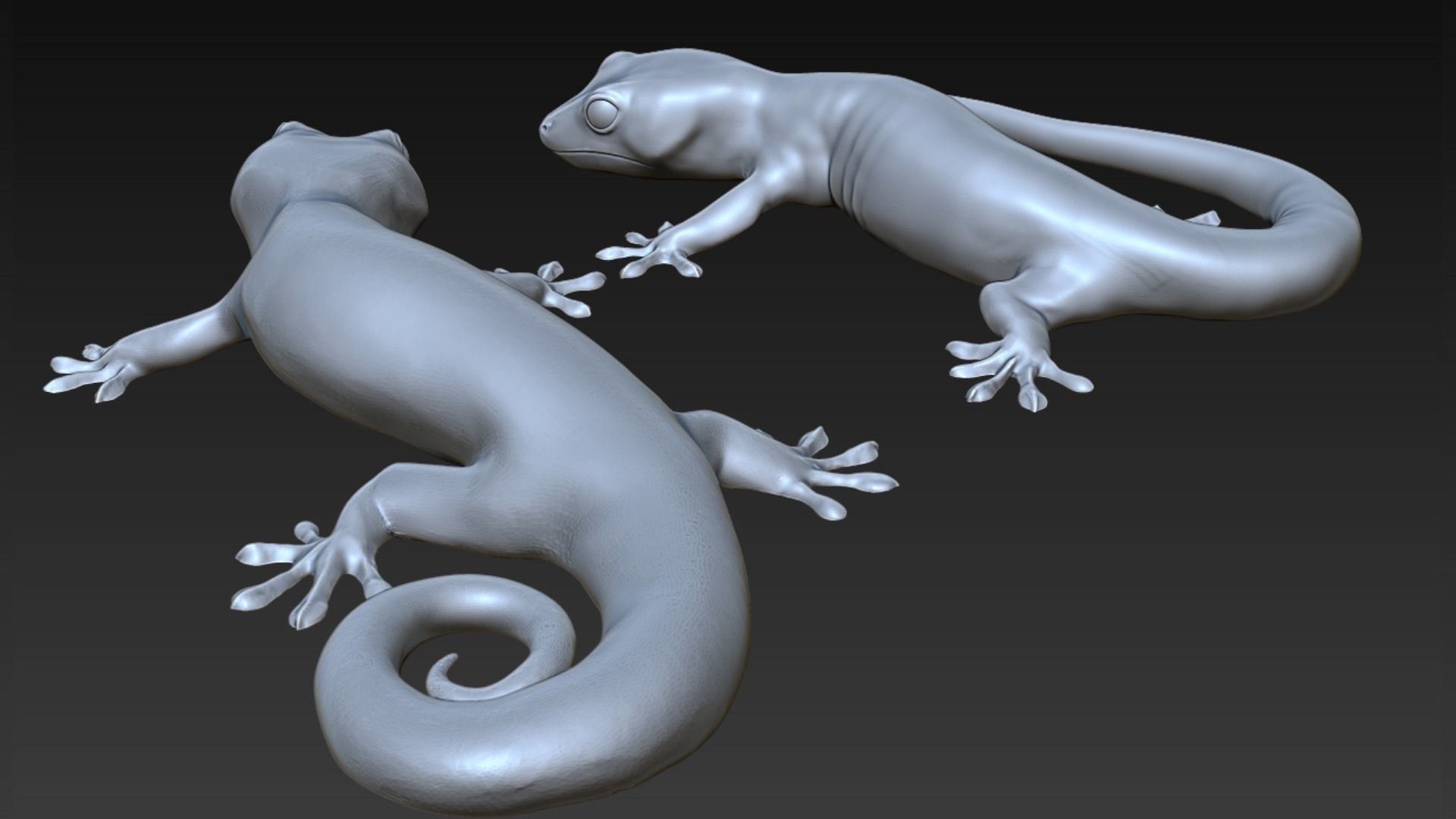 Gecko 3D print model_4