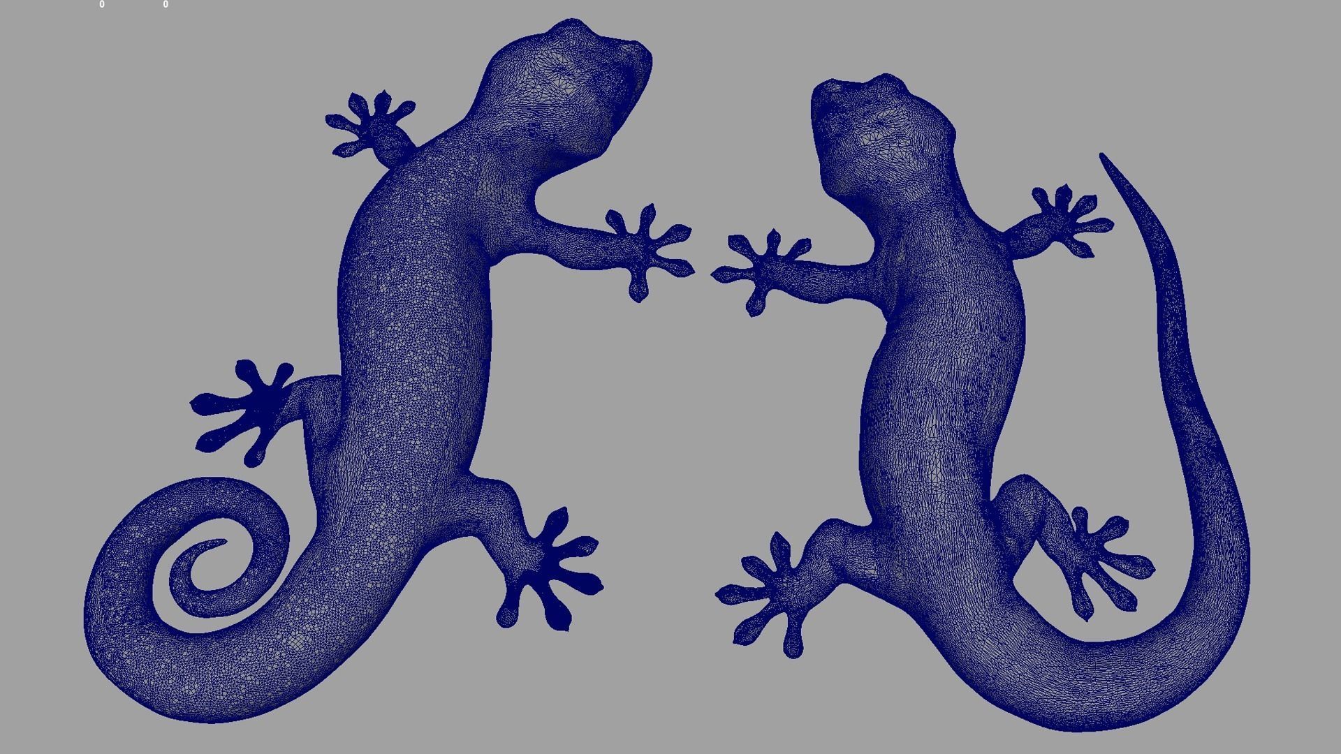 Gecko 3D print model_8