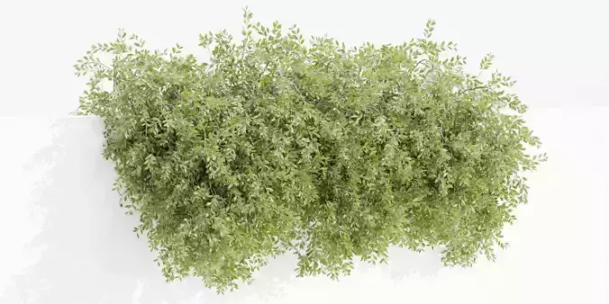 Hanging wall creeper plants collection vol 230-Blender