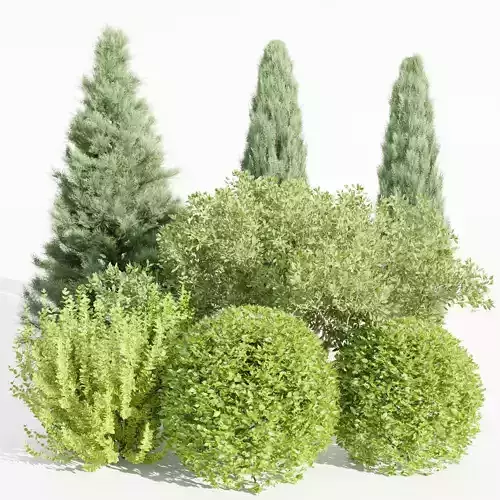Plants for outdoor collection vol 231-Blender 3D model