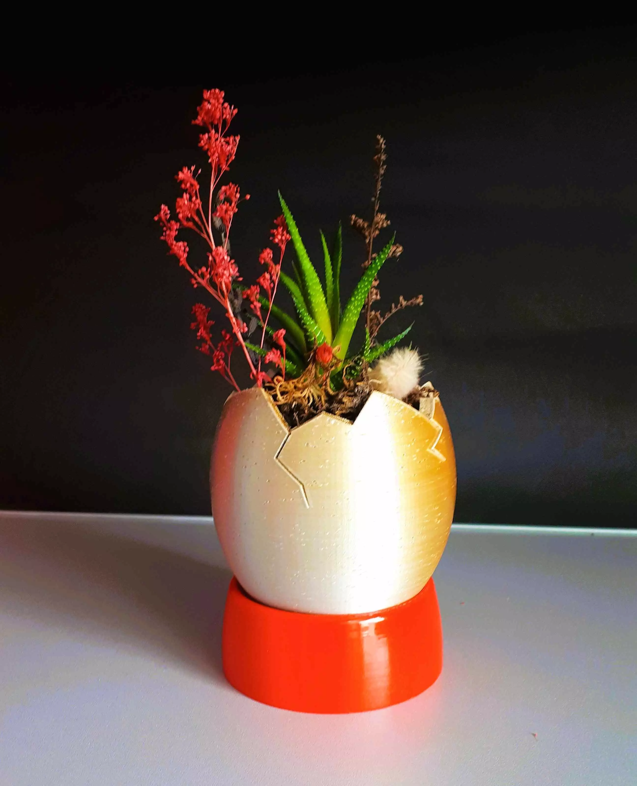 Egg Shaped Mini Planter for Succulent and Plants 3D print model