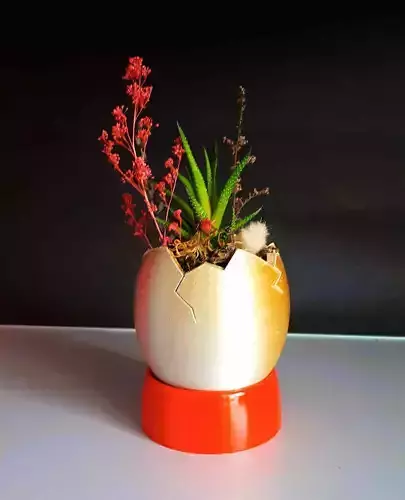 Egg Shaped Mini Planter for Succulent and Plants 