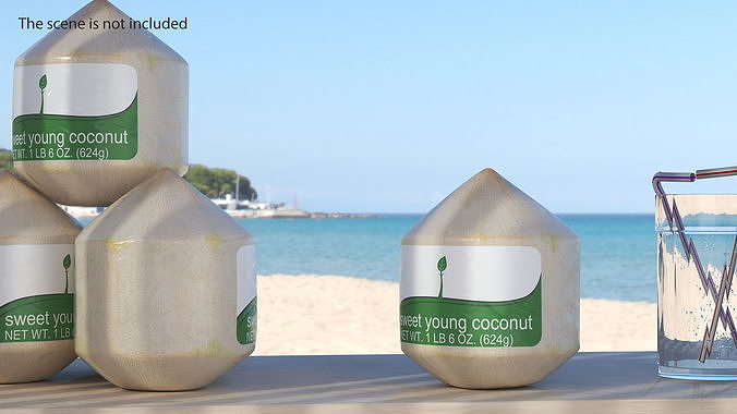 Fresh Young Shelled Coconut Pack 3D model 3