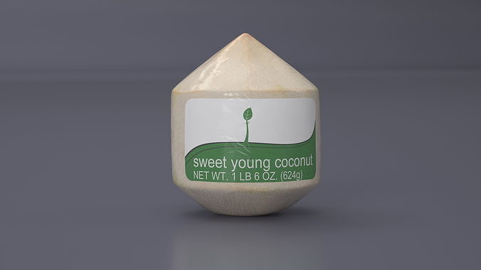 Fresh Young Shelled Coconut Pack 3D model 4