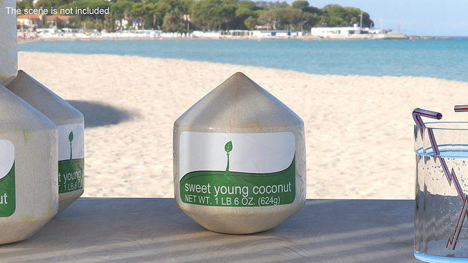 Fresh Young Shelled Coconut Pack 3D model 2