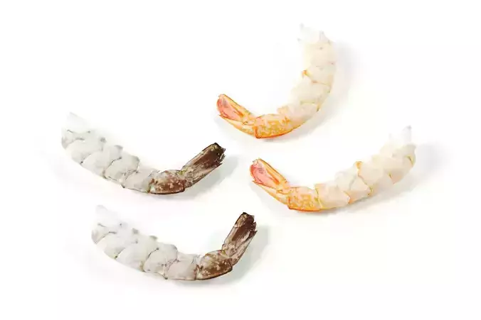 polypasta - shrimp 01 - peeled