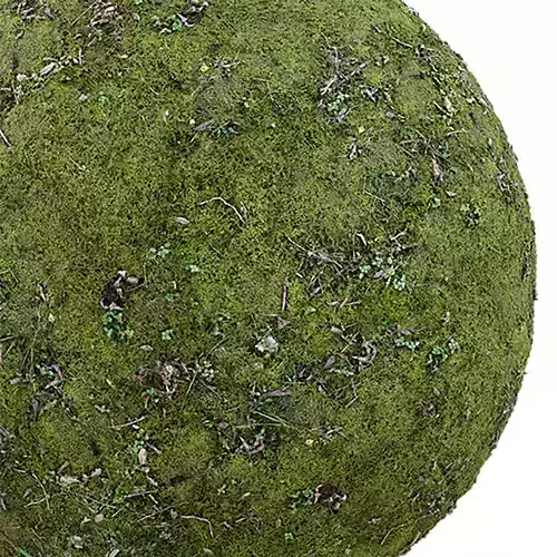 Ground Seamless Texture 2K - EXR 5 - JPG 5 Texture