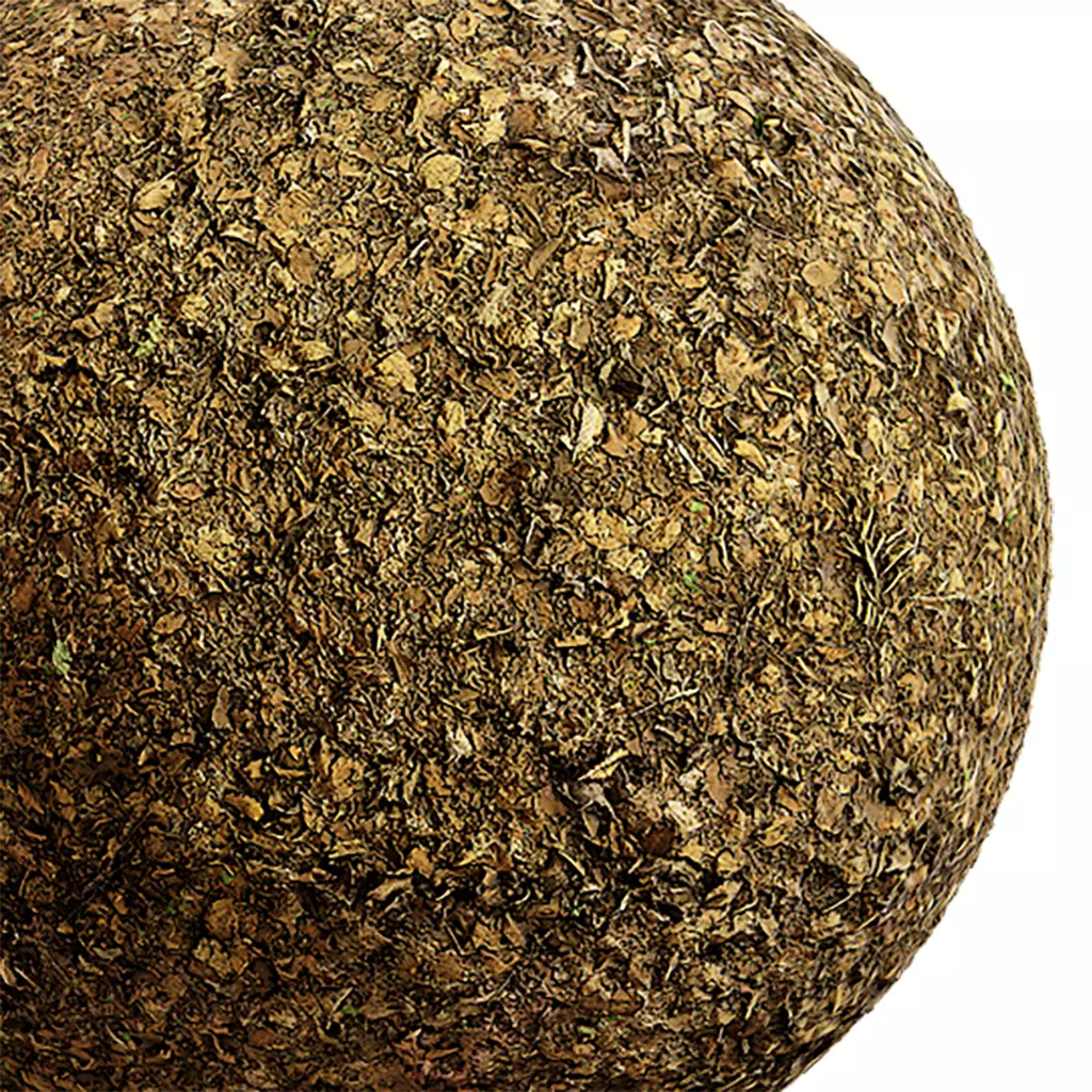 Ground Seamless Texture 2K - EXR 5 - JPG 5 Texture Texture_0