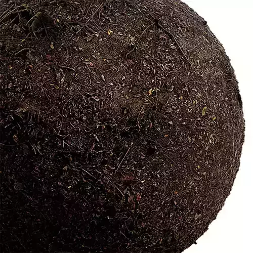 Ground Seamless Texture 2K - EXR 5 - JPG 5 Texture