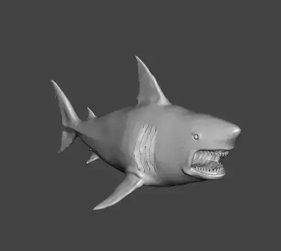 WHITE SHARK REALISTIC FIGURE MODEL ANIMAL CREATURE WILDLIFE RPG 3D print model