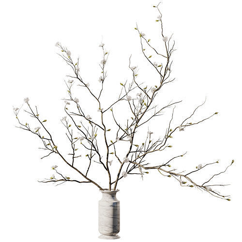 Dry Branches Bouquet18 3D model