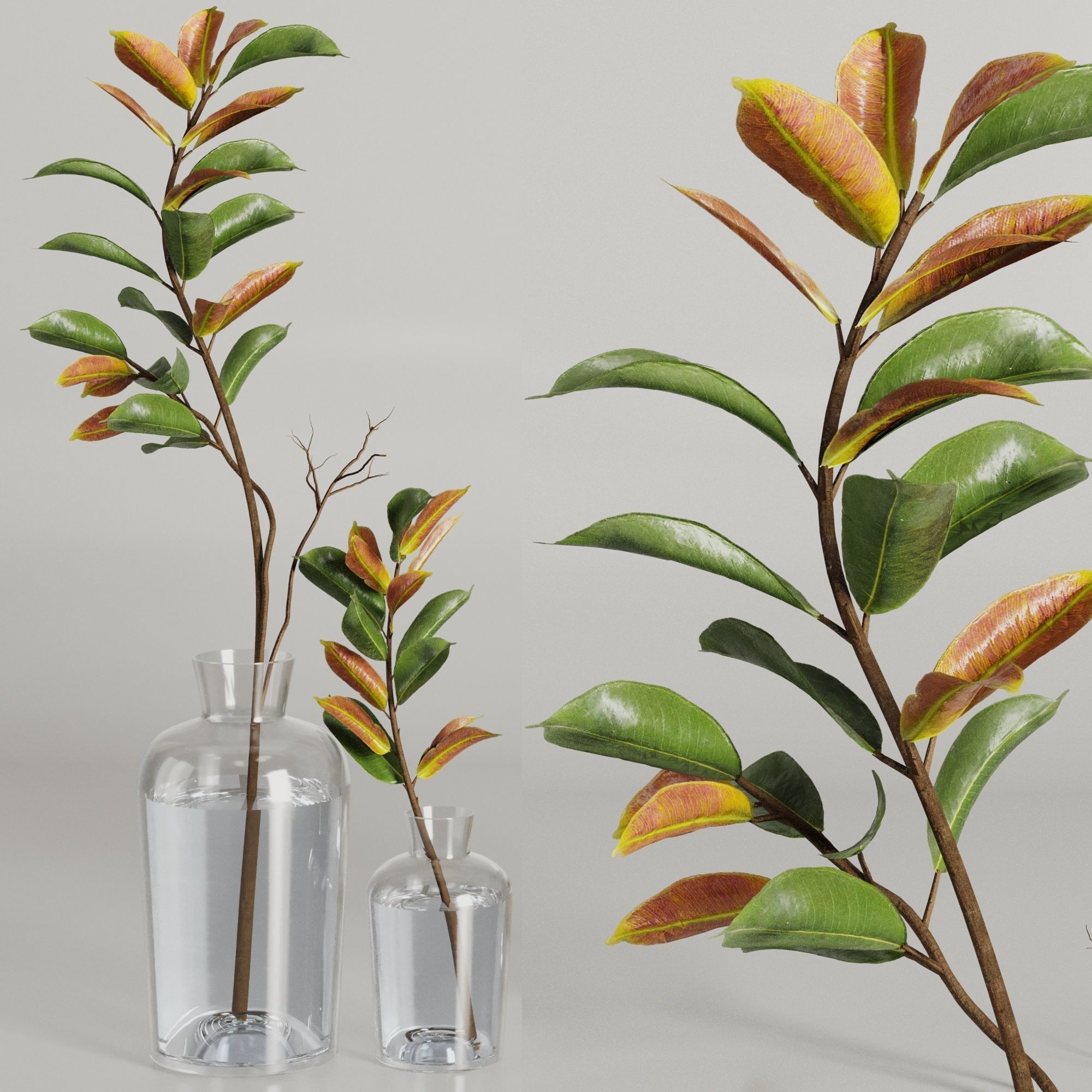 Dry Branches Bouquet20 3D model_2